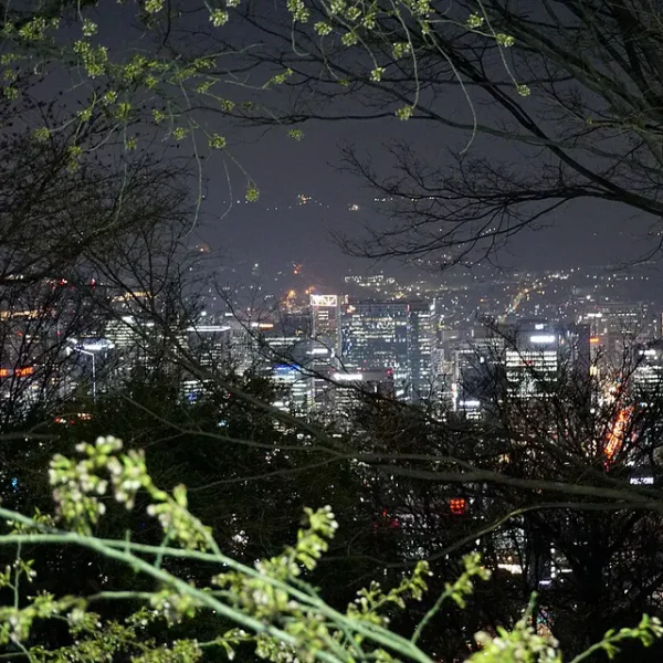 라운지 레드존웰빙 홈타이 대표 안내 이미지