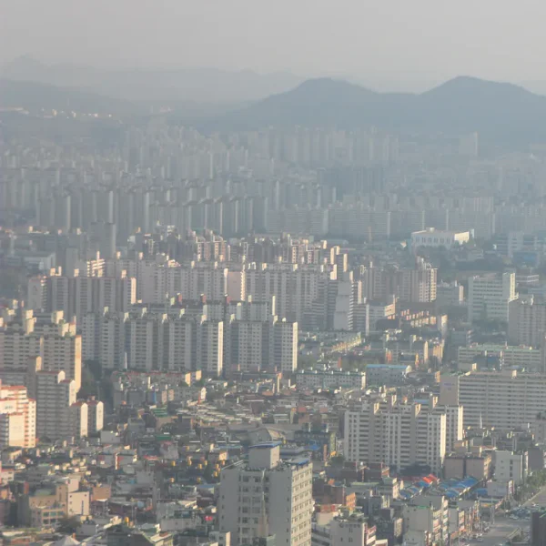 포레스트 문별스튜디오 홈타이 대표 안내 이미지