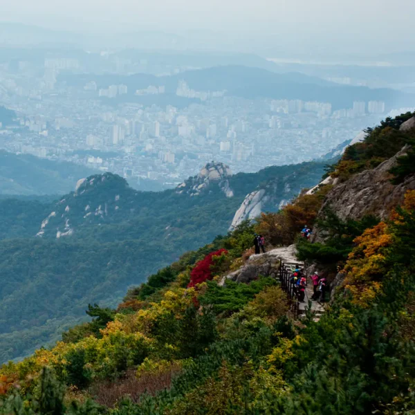 아로마 효정플레이스 테라피 대표 안내 이미지